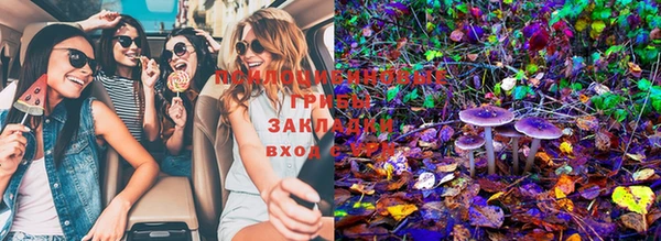 стафф Абдулино